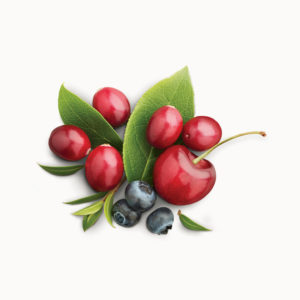 Tieton Cherry