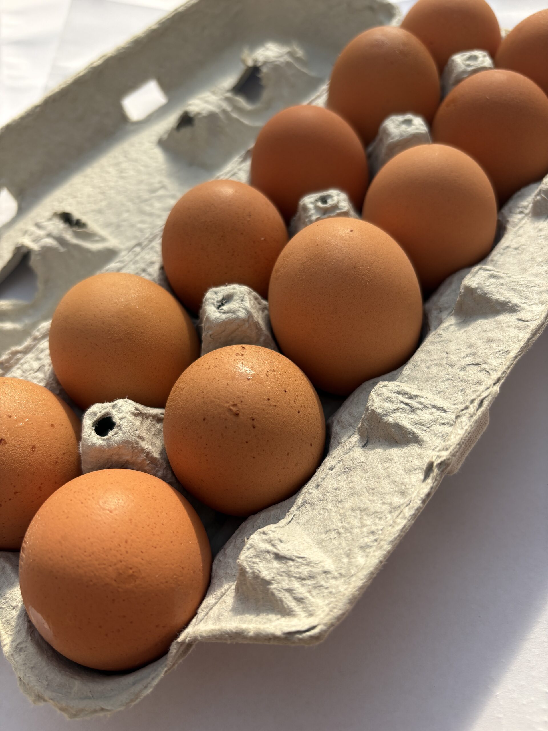 Eggs