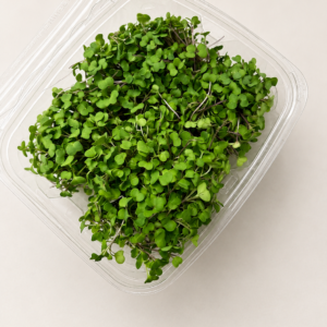 Micro Kale