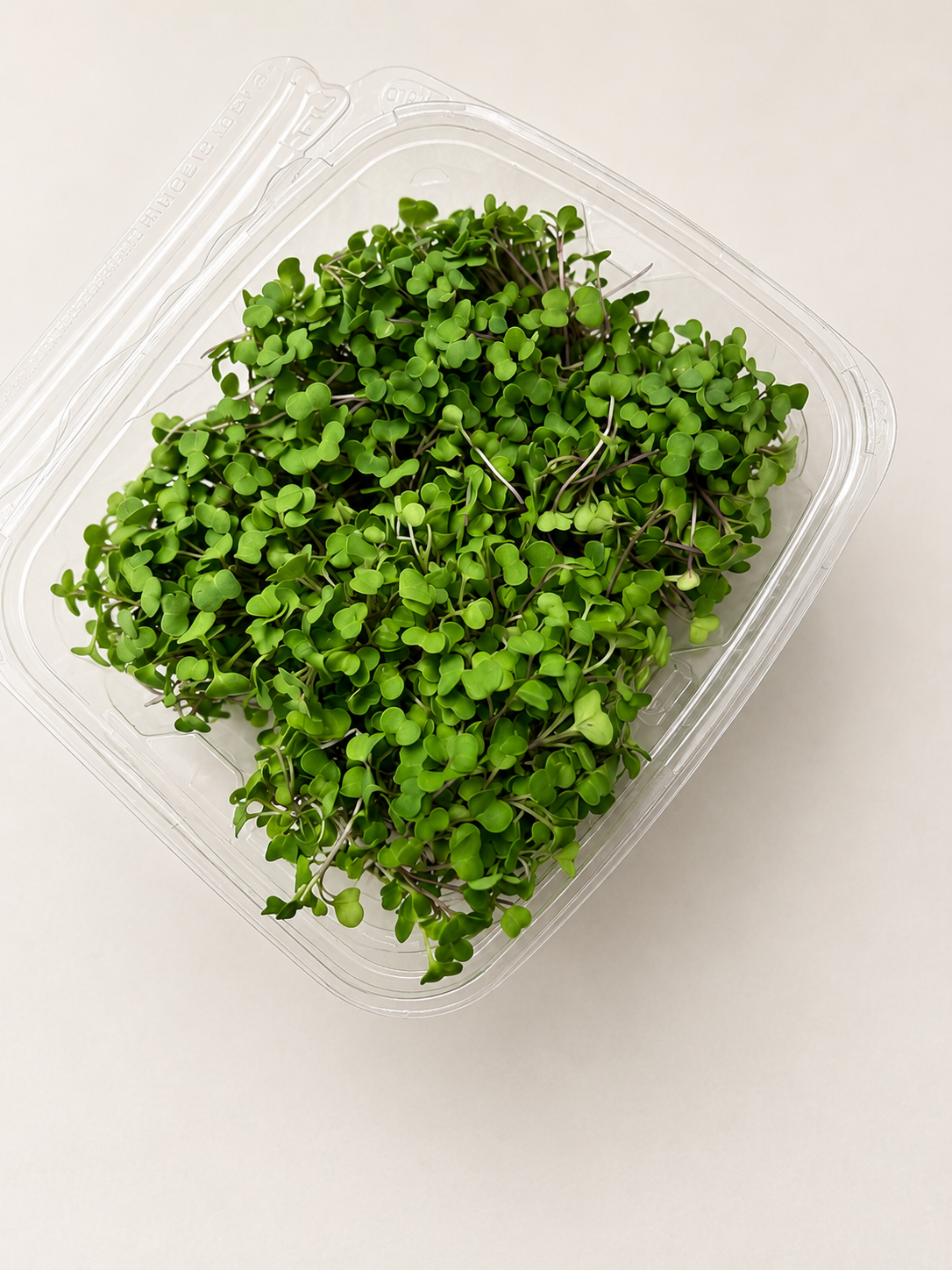 Micro Kale