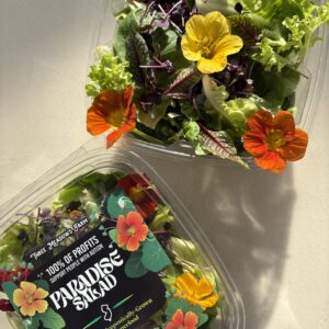Paradise Salad