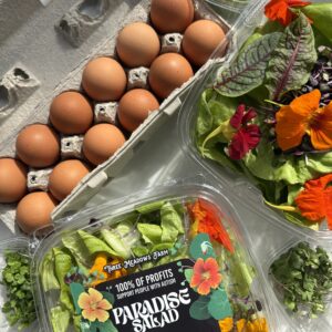 Salad, Micro Arugula, Egg Bundle